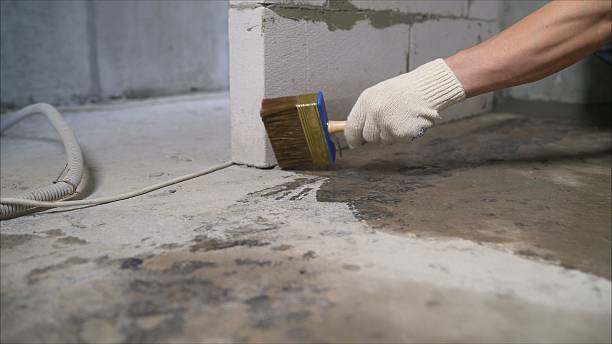 Top rated local Interior Drainage System specialists in Johnston City, IL